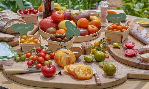 Shanghai-Local-Vegetable-Garden Experience